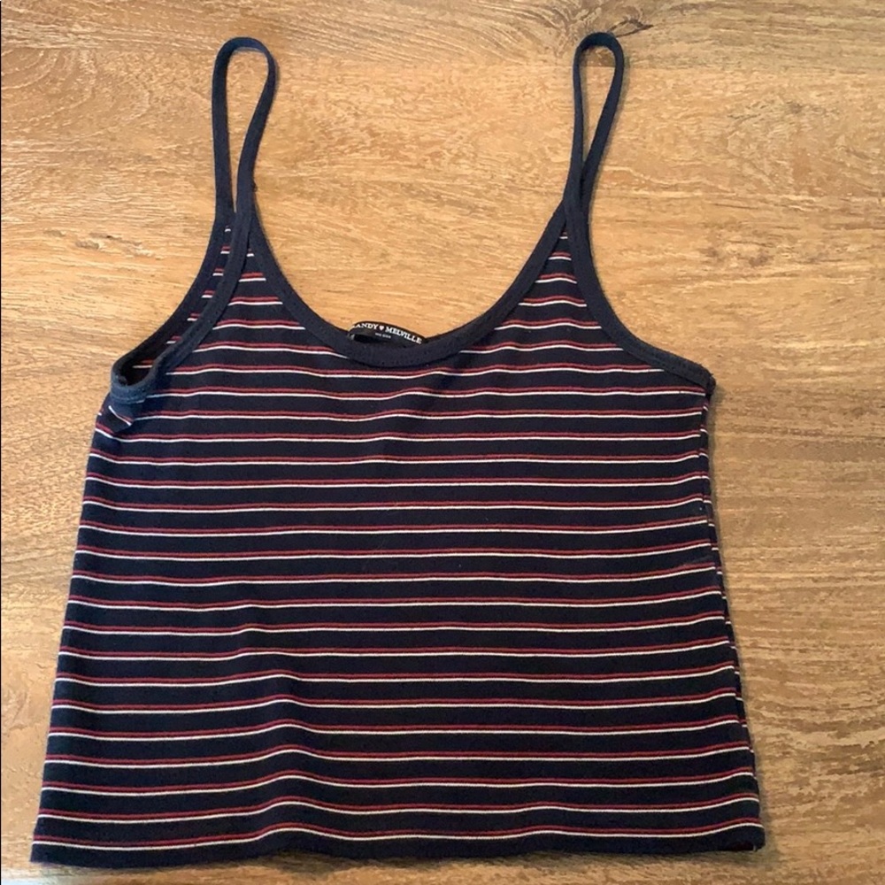Brandy Melville crop top